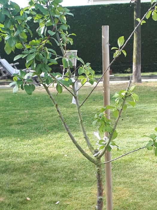 maison marie barrault