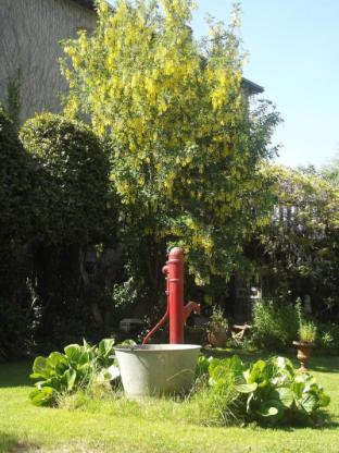 olivet