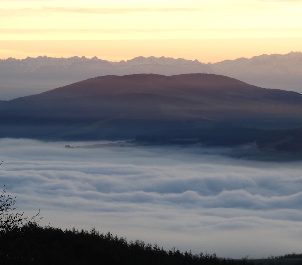 cellieu