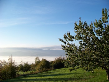 croix blanche