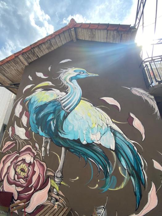 les chambres de limprimerie