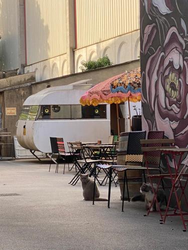 les chambres de limprimerie