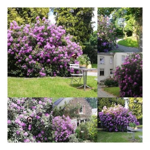 chateau bily bandb hotel