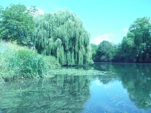 bennecourt