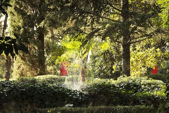 Mas De Lafeuillade,Occitanie>>Montpellier,3 star