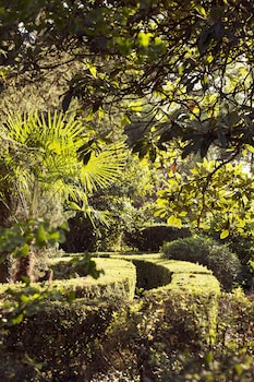 Mas De Lafeuillade,Occitanie>>Montpellier,3 star