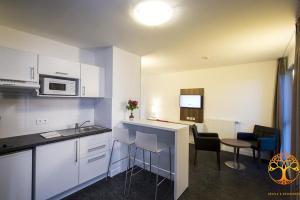 adonis dijon maison internationale