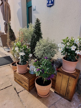 le refuge de labbaye