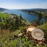 hostellerie la baie du lac