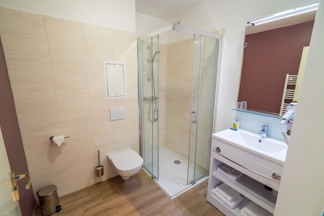 all suites appart hotel choisy le roi