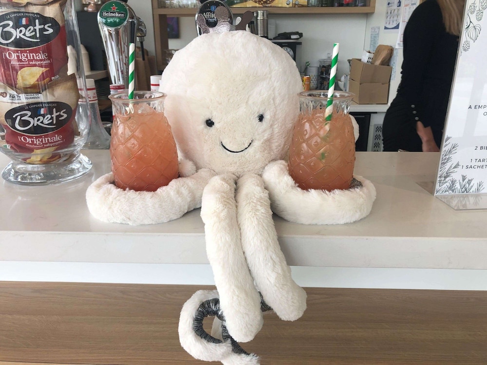 ibis styles guyancourt versailles
