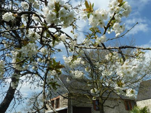 les bruyeres du mont