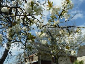 les bruyeres du mont