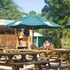 camping huttopia oleron les pins
