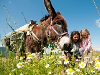 Domaine De Suzel,Isère>>Bourgoin-Jallieu,4 star