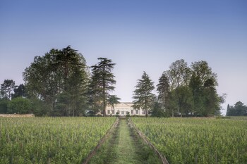 chateau le pape