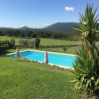 fleur de lys fayence