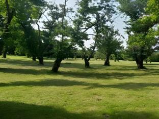 le petit domaine de colayrac