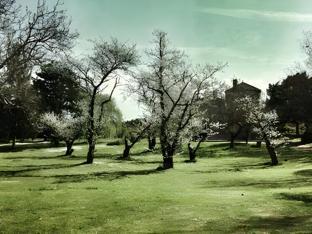 le petit domaine de colayrac