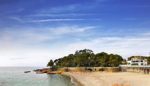 sowell family riviera