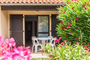 saint cyprien