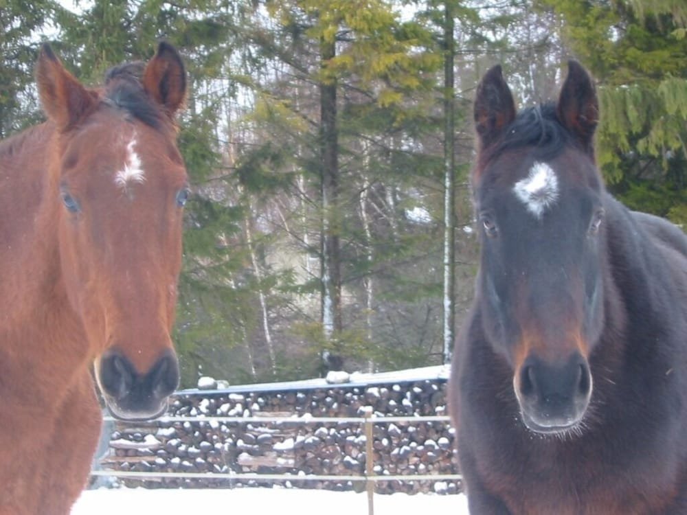 Au Pré Du Moulin,Broyes>>Bergeres-Les-Vertus,3 star