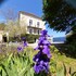 le clos de la salamandre