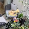 yuna blanche serviced apartments