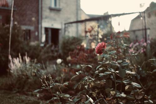 coucy le chateau auffrique