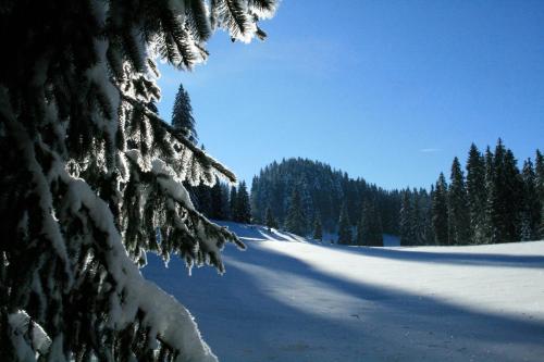 septmoncel les molunes