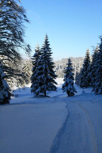 septmoncel les molunes