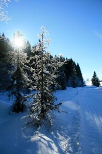 septmoncel les molunes