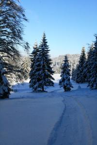 septmoncel les molunes