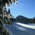 au coeur du lapidaire