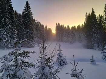 septmoncel les molunes