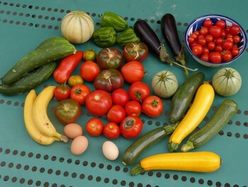 domaine de lestuaire