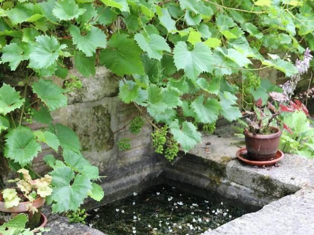 saint aubin de bonneval