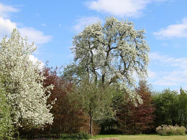 saint aubin de bonneval