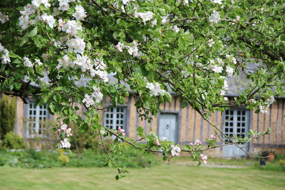 saint aubin de bonneval