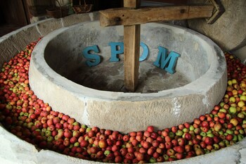 saint aubin de bonneval