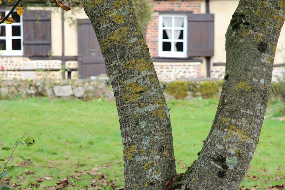 saint aubin de bonneval