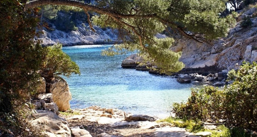 cassis