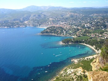 cassis