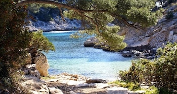 cassis