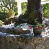 le clos du loup