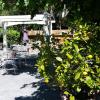 le clos du loup