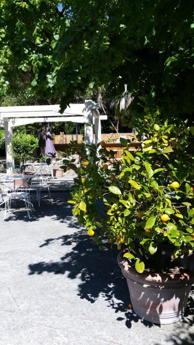 le clos du loup