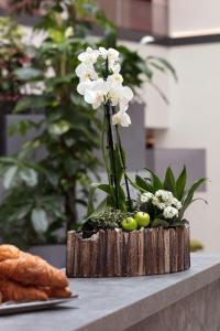 best western plus hotel escapade senlis