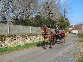 les terrasses de gaumier