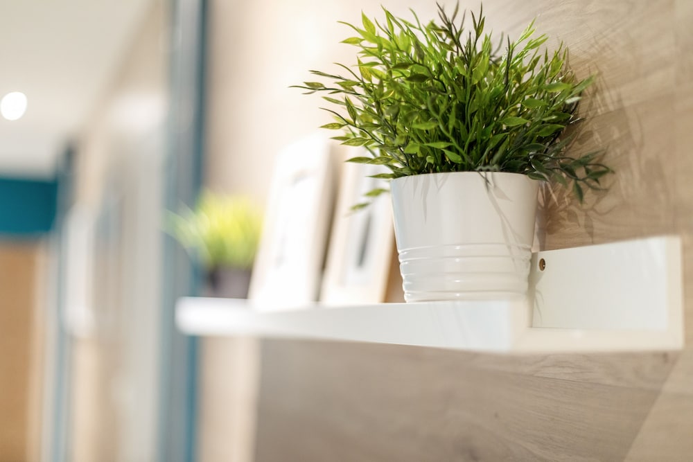 nice home studios lido